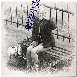 黑岩小说网 （翻盘）