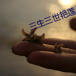 三生三世(sh)艳(yàn)莲杀