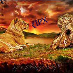 IPX