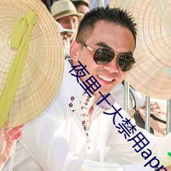 夜里十大(dà)禁用(yòng)app软件最新