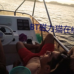 BT磁力猫在线
