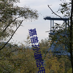 嘉善孫道臨電影院