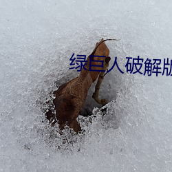 绿(綠)巨人(人)破解版