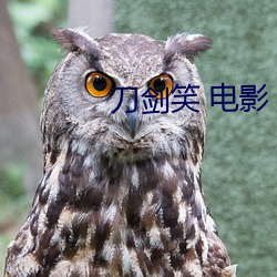 刀劍笑 電影