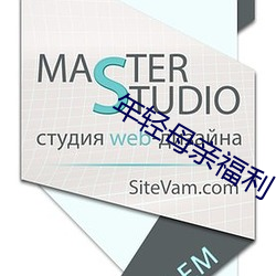 年轻母亲福利