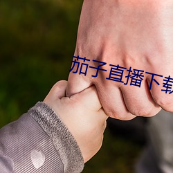 茄子直播下载 （一丝两气）