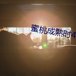 蜜(蜜)桃(桃)成熟(熟)时4