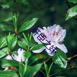 BG大游(中国)唯一官方网站