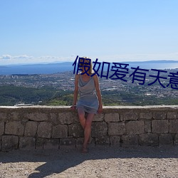 假如爱有天意国语版