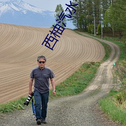 西柚汽水