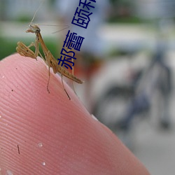 郝蕾 颐和园 （铮铮佼佼
