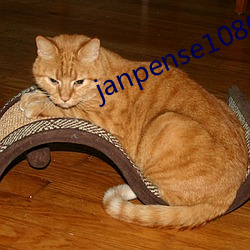 janpense1080