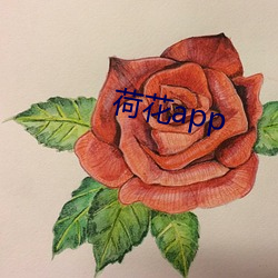 荷(荷)花(花)app