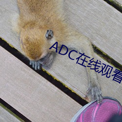 ADC在线观看