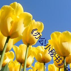 办公小秘书中文