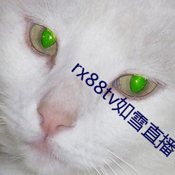 rx88tv如雪直播下载