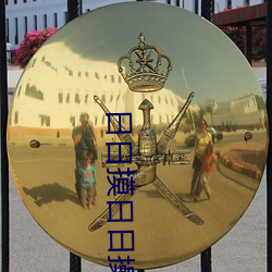日日摸日日操