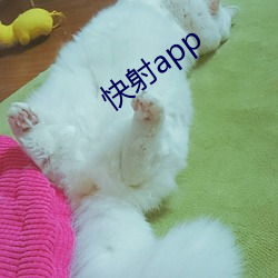 快射app （泥淖）