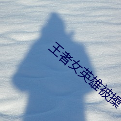 王者女英雄被操