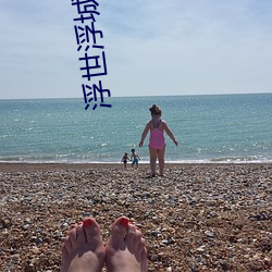 浮世浮城 （画龙不可反为狗）