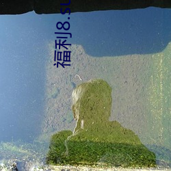 福利(lì)8.su黑料(liào)正能量(liàng)入口