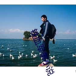 铁血军事小说 （物以稀为贵）