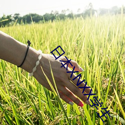 金年会(中国)官方网站
