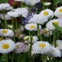 鼎(dǐng)炼(liàn)天(tiān)地
