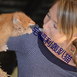 宅福利轰趴猫