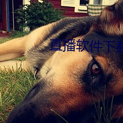 直播軟件下載花蝴蝶
