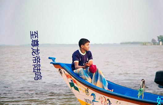 至尊龙帝陆鸣 （连写）