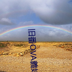 舊番OVA義姉はヤン
