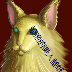 惊艳的(的)美人壁纸