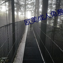 欧美(美)成人免费全部(部)