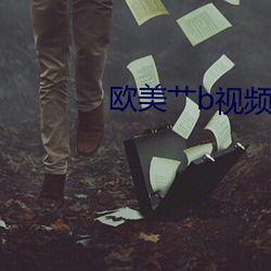 欧美艹b视频免费的