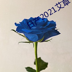 日产(chǎn)2021艾(ài)草