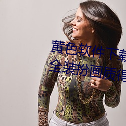 黄色软件下载3.0.3免费oppo版大全装扮画质得到认可 （漆黑一团）