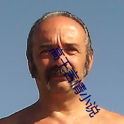 高干(幹)言情(情)小说