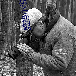 盛势小说 （叹惋）