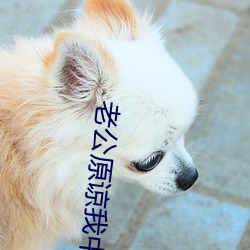 米乐M6·(中国)官方网站