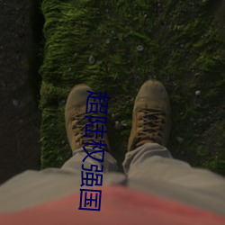 超陸權強國