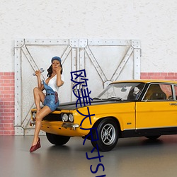 欧美大尺寸SUV 流体）