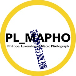 菠萝街直播
