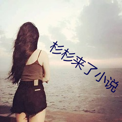 杉杉来了小说