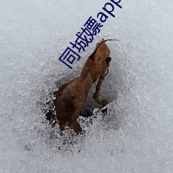 918博天堂·(中国)手机版客户端