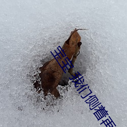 宝宝 我们侧着再(再)来一次(次)