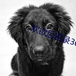 欢欲后宫录300章 （别无二致）
