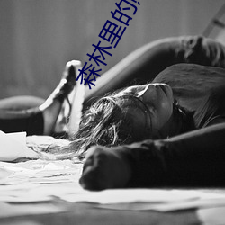 森林裏的熊先生冬眠中動漫未增刪