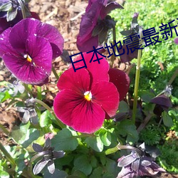 尊龙凯时·(中国)官方网站