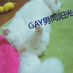 GAY男同陽光地帶